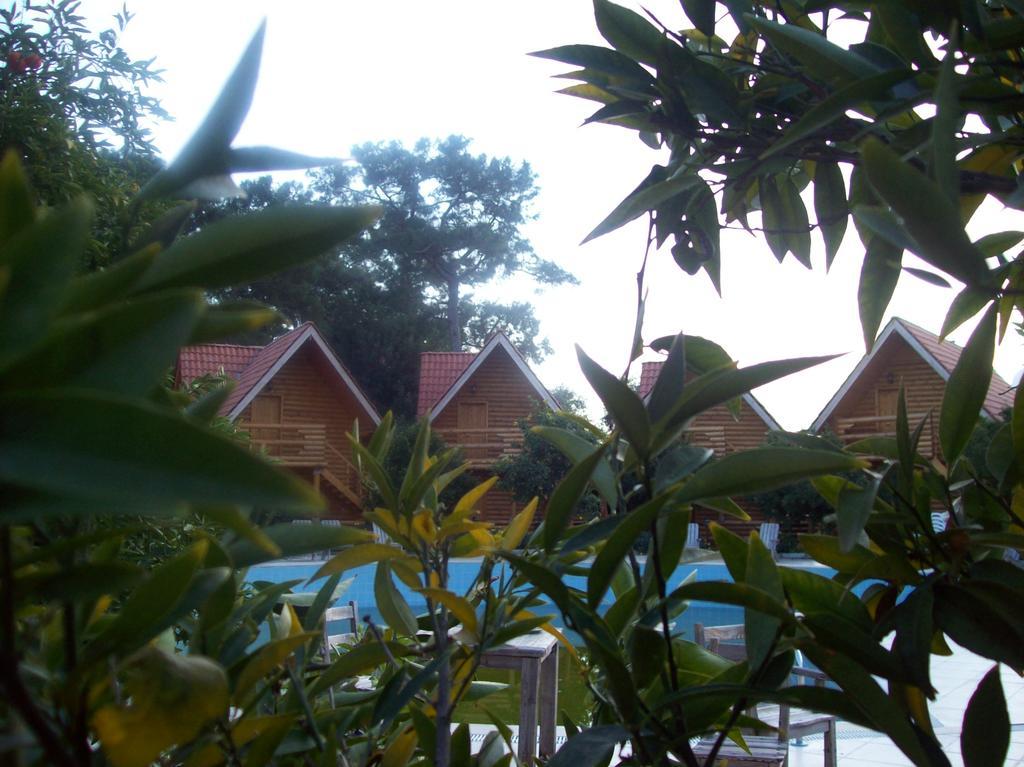 Woodline Hotel Goynuk  Bagian luar foto