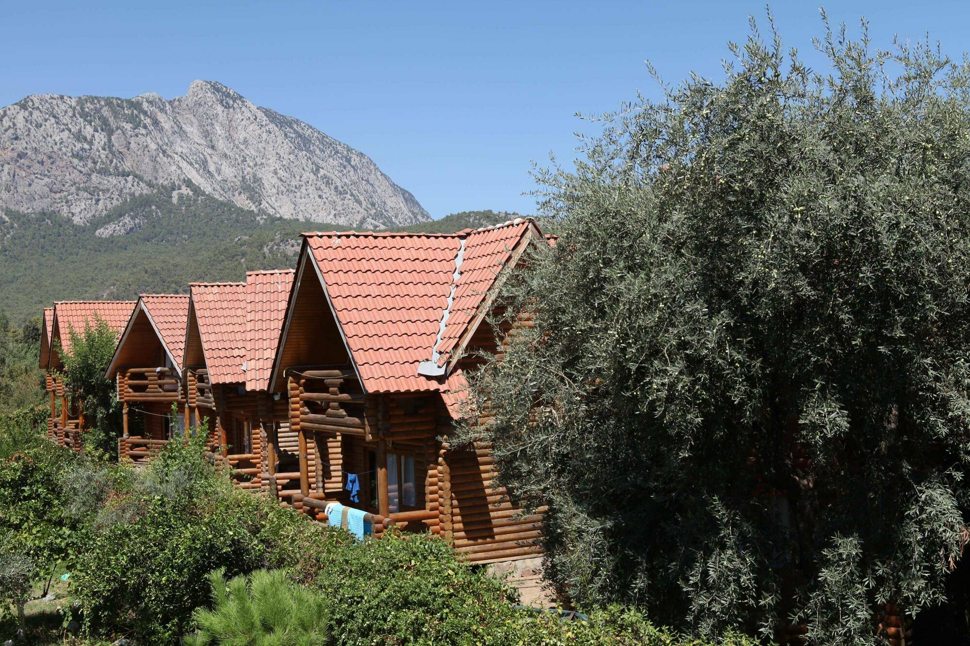 Woodline Hotel Goynuk  Bagian luar foto